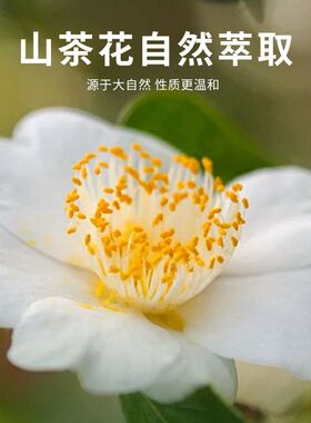 山茶花油无香护手霜滋润不油腻