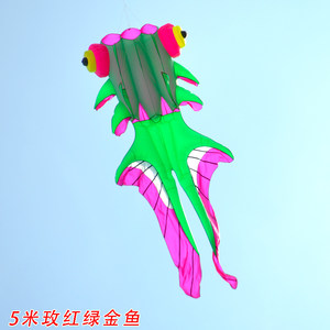 飞悦新款软体风筝3.8米5米8米金鱼风筝无骨风筝微风抗风