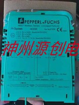 P F times Gaffo temperature input isolated safety grid H -- System HiC2081