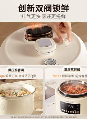 智能双胆电压力锅家用多功能
