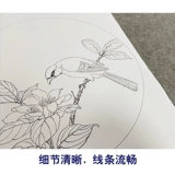 Dai Qingchi Gongbi Painting White Draft Polycut Birds ряд из четырех начинающих 35*35 см TD05