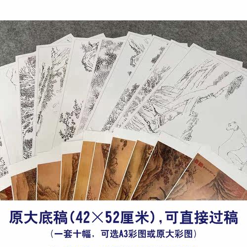 艾启蒙工笔画白描底稿金翅猃斑锦彪一套十幅尺寸42*52厘米GG02 - 图1
