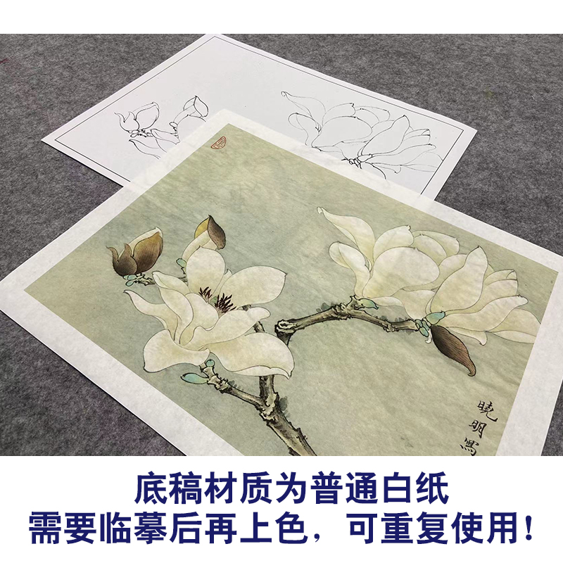 【大彩图】李晓明工笔画白描底稿《白玉兰》玉兰花花鸟线稿K101-图2