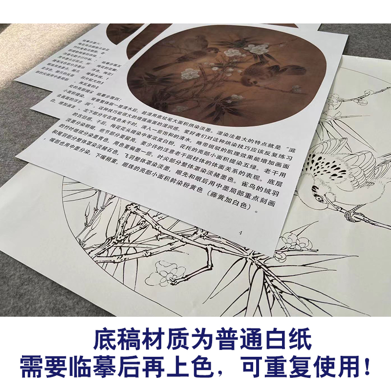 【有步骤、大彩图】李晓明工笔画白描底稿《临宋梅竹戏雀图》KC04 - 图2