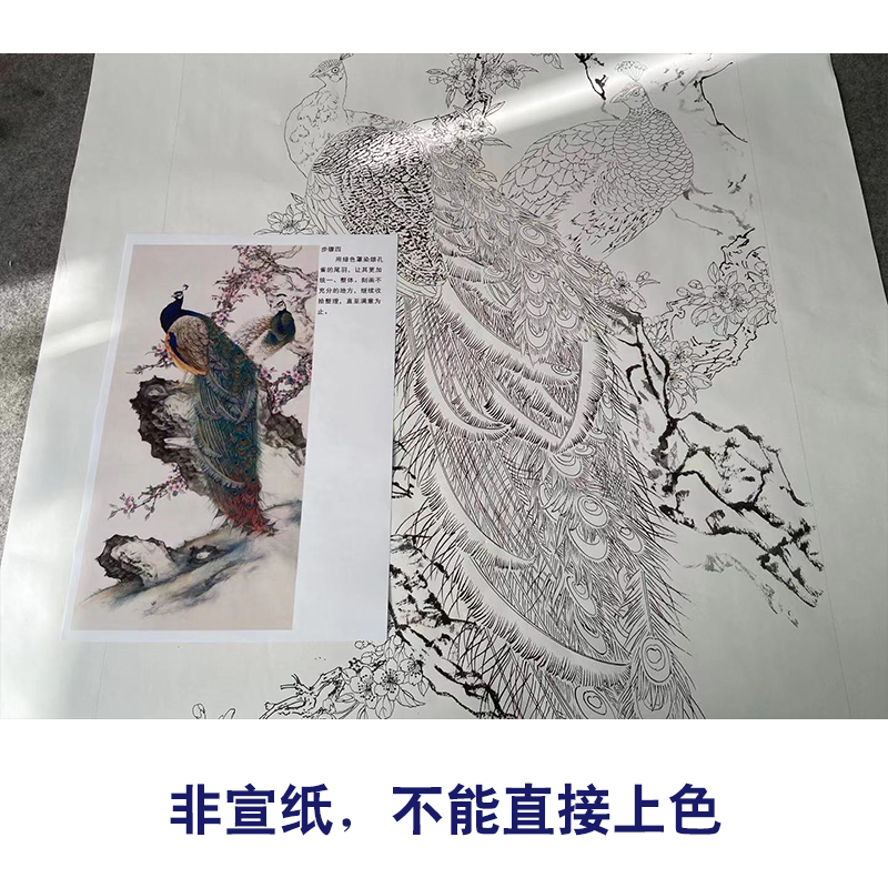 【有步骤】陈军工笔画白描底稿《春光明媚》孔雀临摹花鸟线稿CJ31-图1