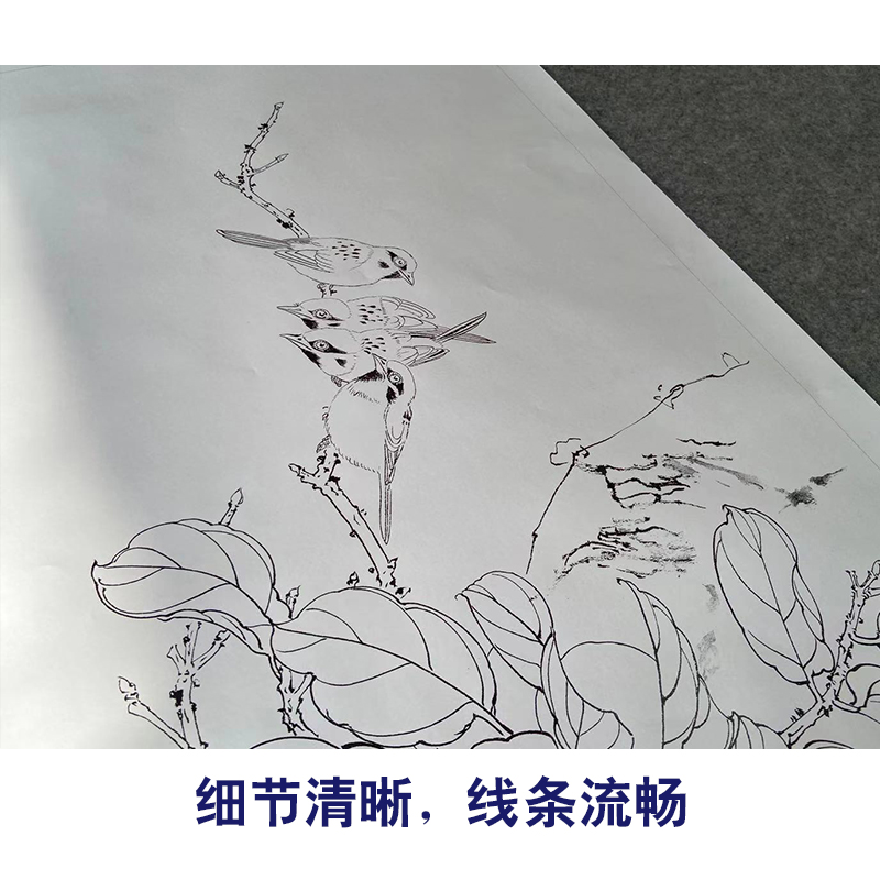 【有步骤】工笔画白描底稿斗方《吉事连连》柿子麻雀花鸟线稿CJ17-图3