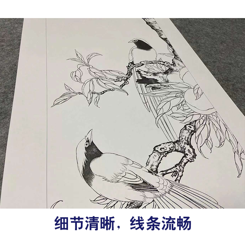 【四条屏】工笔画白描稿柿子桃枝临摹勾线花鸟线稿高清打印稿TP16 - 图3