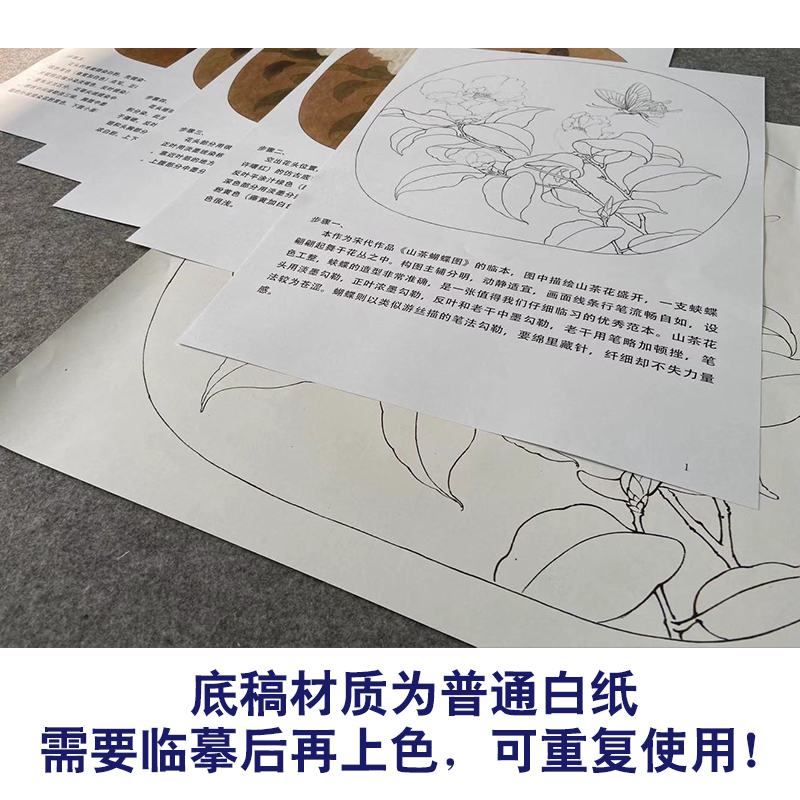 【有步骤、大彩图】李晓明工笔画白描底稿圆形《茶花蝴蝶图》KC01-图2