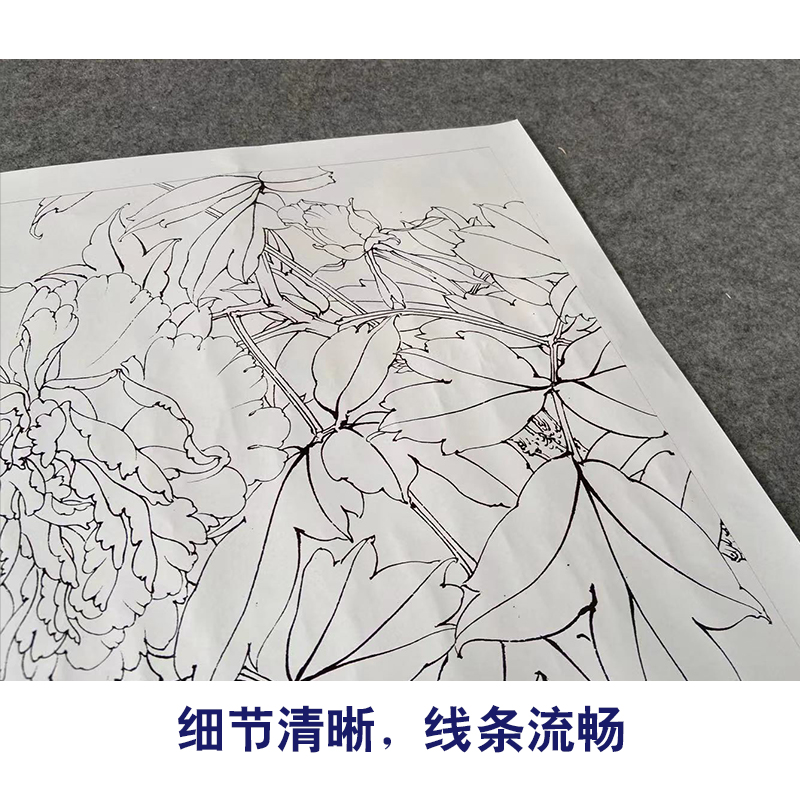 【有步骤、大彩图】李晓明工笔画白描底稿牡丹小品《大宋紫》KD11-图3