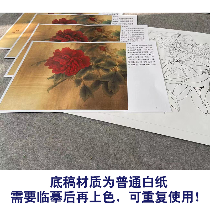 【有步骤、大彩图】李晓明工笔画白描底稿牡丹小品《大宋紫》KD11-图2