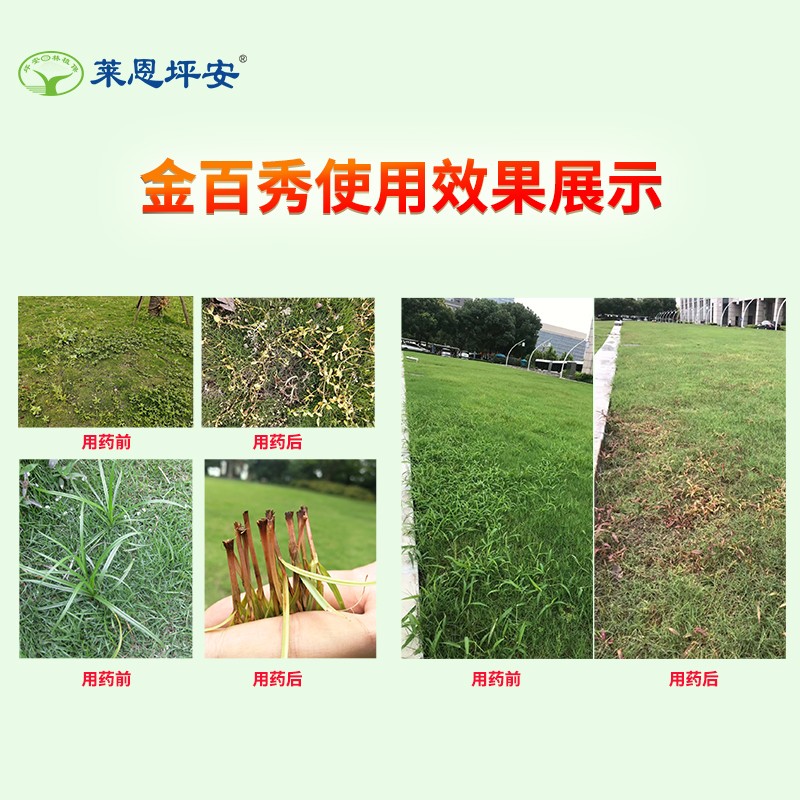 坪安金百秀草坪杂草除草剂封闭马唐狗牙根结缕草除阔叶尖叶香附子-图2