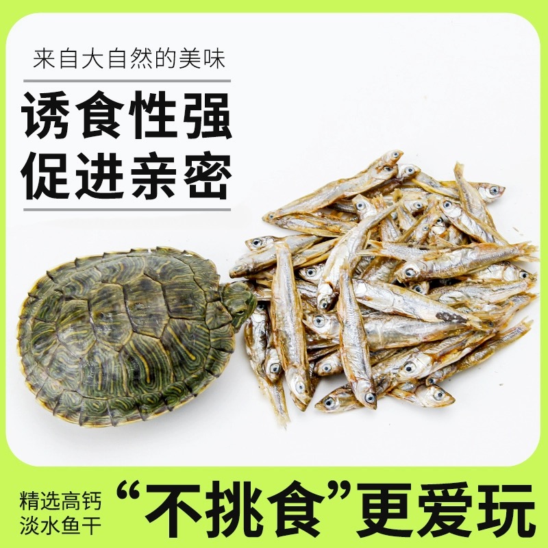 小乌龟饲料通用龟粮虾干鱼干淡水巴西草龟家用补钙专用食物高蛋白 - 图0