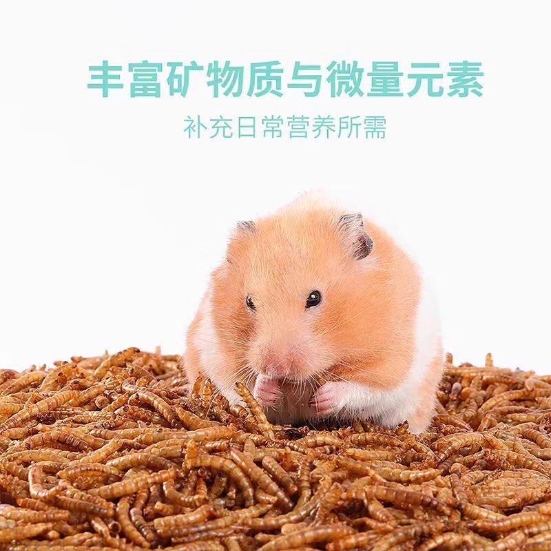 仓鼠零食营养面包虫干增肥提升高蛋白鸟类侏乌龟粮食仓鼠粮黄粉虫,淘宝优惠券,粉丝福利购,淘宝优惠卷
