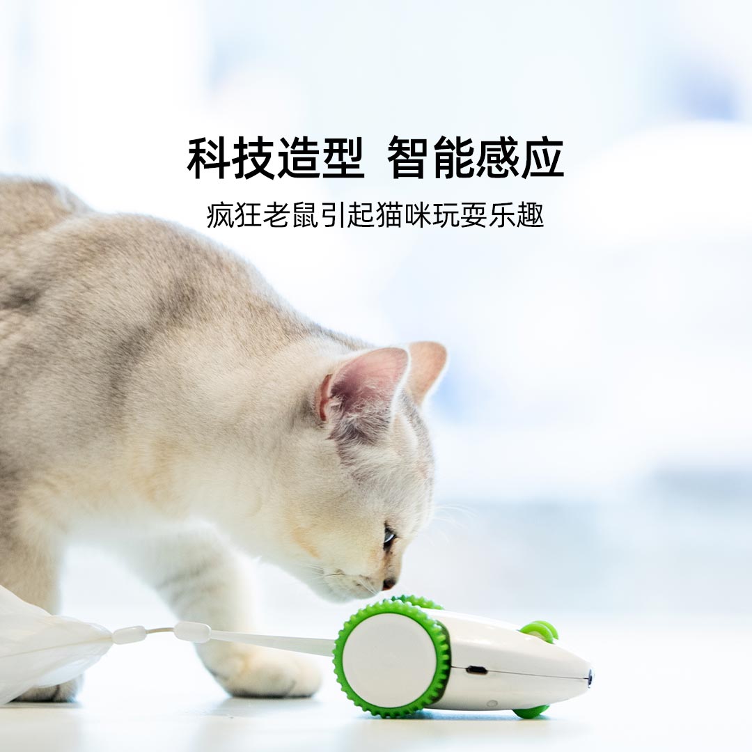 贵为疯狂老鼠猫电动玩具 猫咪自嗨解闷 自动逗猫棒 幼猫宠物用品 - 图0