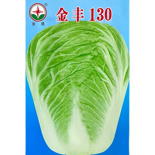 金丰130天山东大白菜种孑无筋包心菜籽晚熟菜种籽孑高产四季蔬菜 - 图3