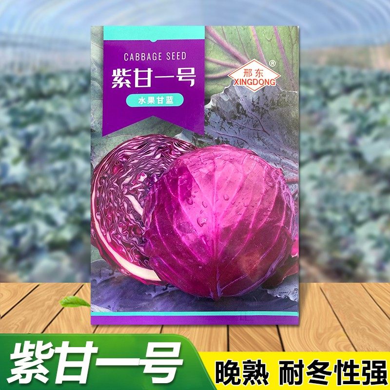 紫甘蓝1号种子包菜种籽紫红色圆球形甘兰洋白菜种籽卷心菜籽种籽,淘宝优惠券,粉丝福利购,淘宝优惠卷