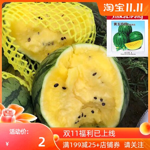 黄玉玲珑礼品西瓜种子黄金宝黄瓤西瓜薄皮早熟礼品小西瓜种籽高产 - 图1
