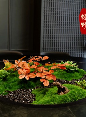酒店餐桌中间摆件大圆桌转盘摆花仿真苔藓植物新中式包厢沙盘装饰