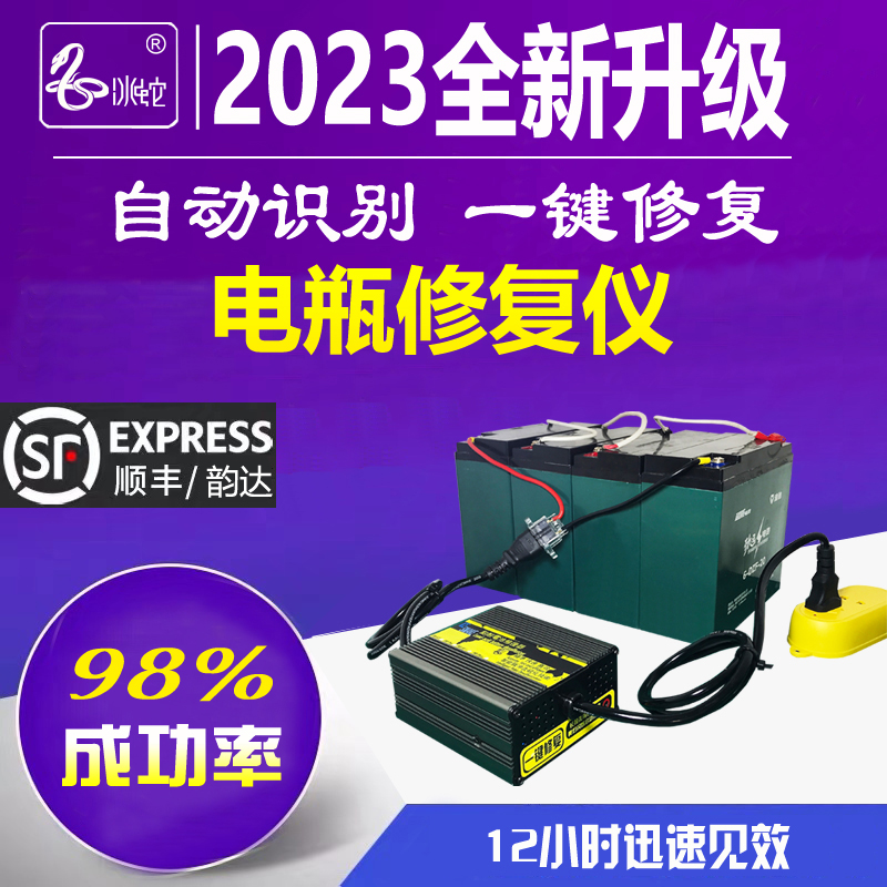 冰蛇电瓶修复除硫仪专业版48v60v72伏电动车电池饿死快速激活充电 - 图2