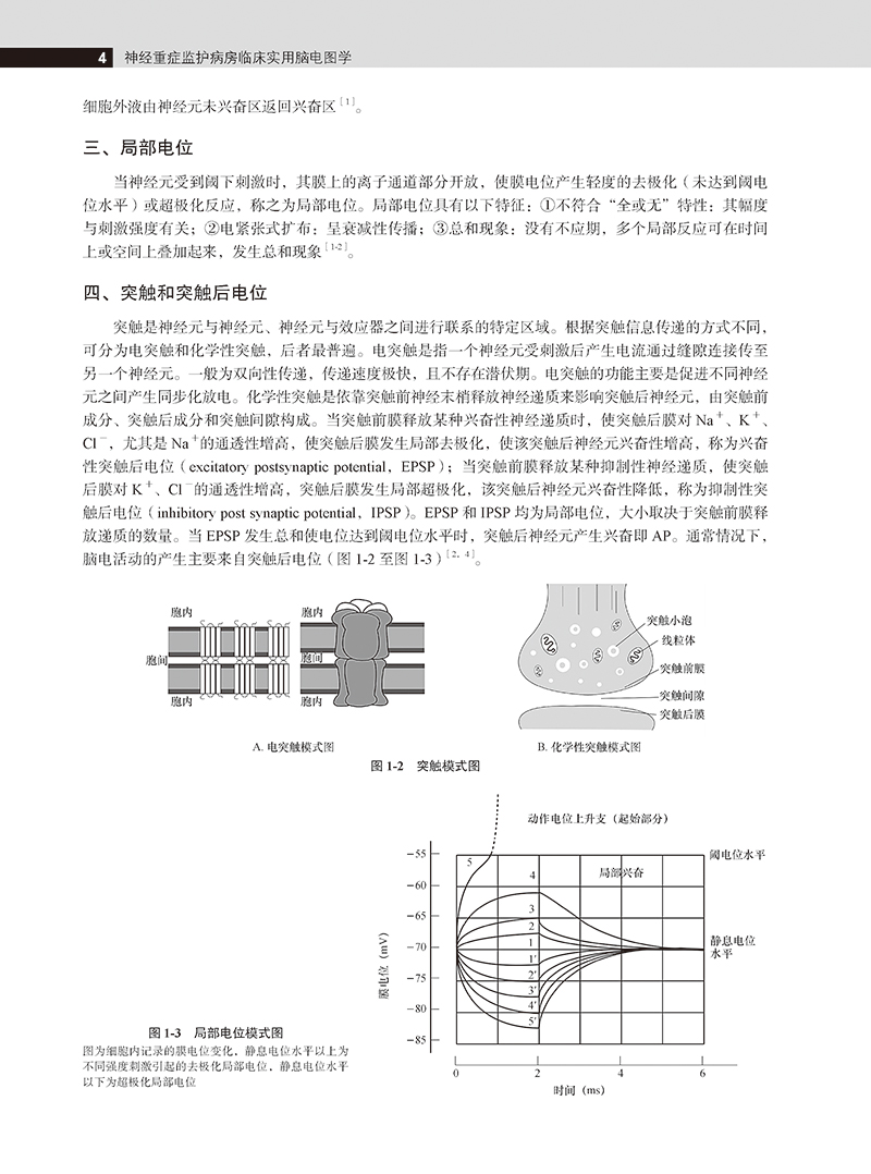 神经重症监护病房临床实用脑电图学 江文 编 临床脑电图书籍 N-ICU脑电图监测电生理重症医学 北京大学医学出版社9787565921872 - 图3