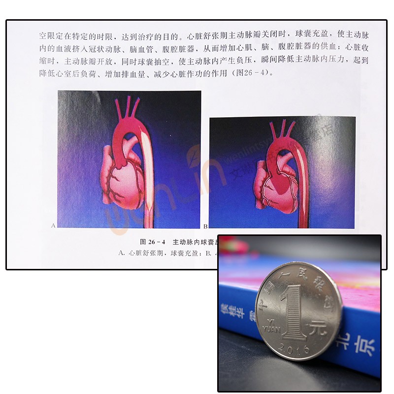 心血管介入治疗护理实用技术第2版 心血管病护理及技术培训教材侯桂华 霍勇编北京医大心导管室规范建设 心血管介入诊疗中护理技能 - 图1