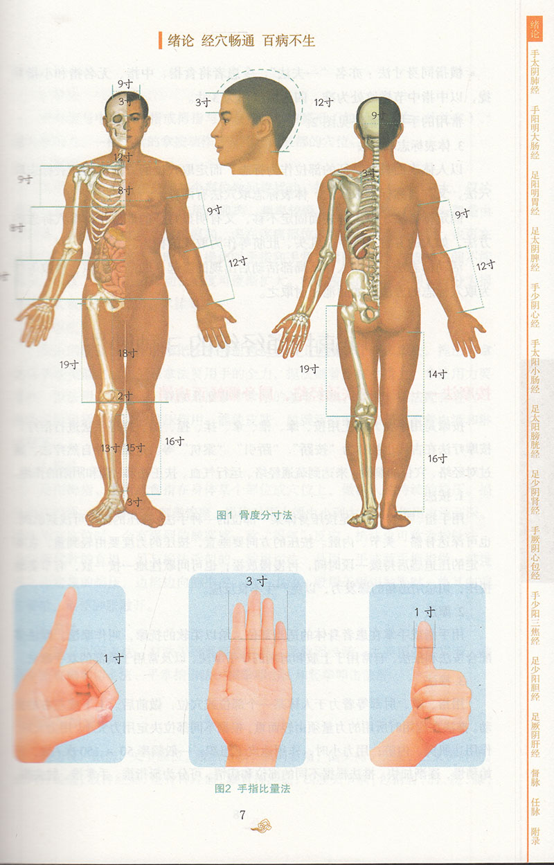 图解黄帝内经十四经脉养生 李淳 介绍了各条经脉养生功效每个穴位的腧穴定位按摩方法功效及防治疾病 中医古籍出版社9787515224688 - 图3