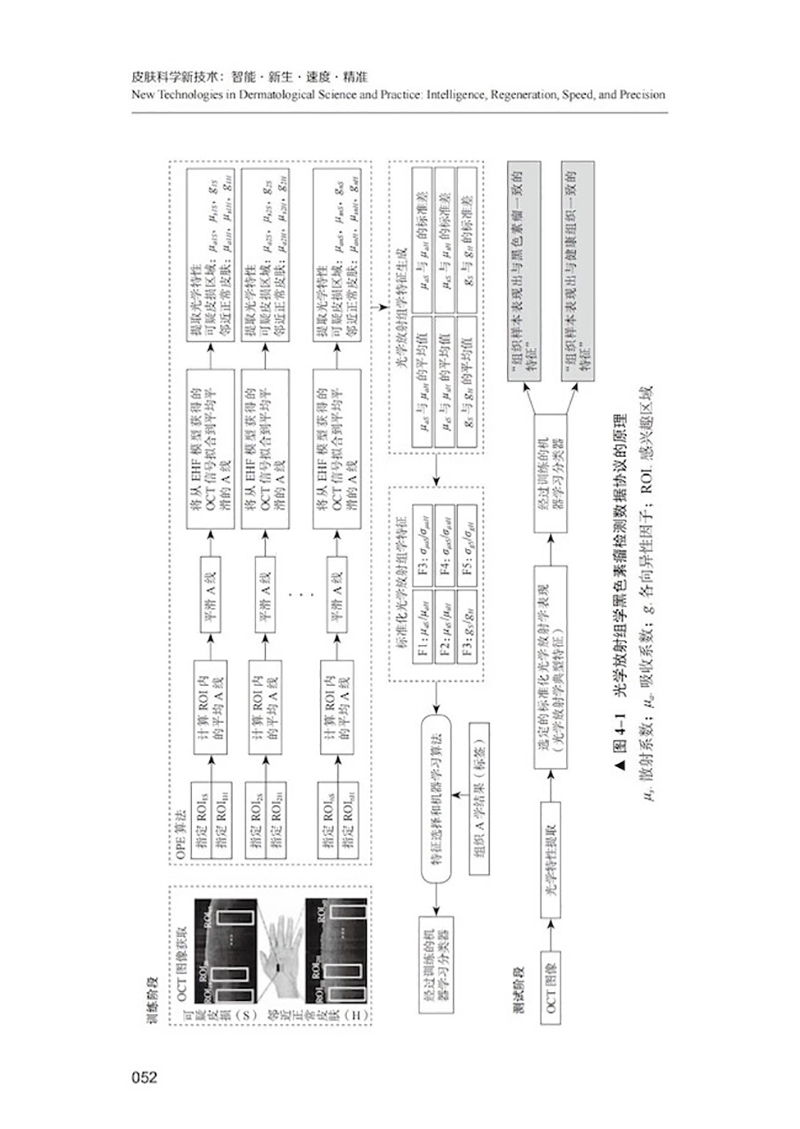 皮肤科学新技术 智能新生速度精准 吴文育主译 多钟新近皮肤科学领域技术实践应用临床指南  中国科学技术出版社9787523600061 - 图3