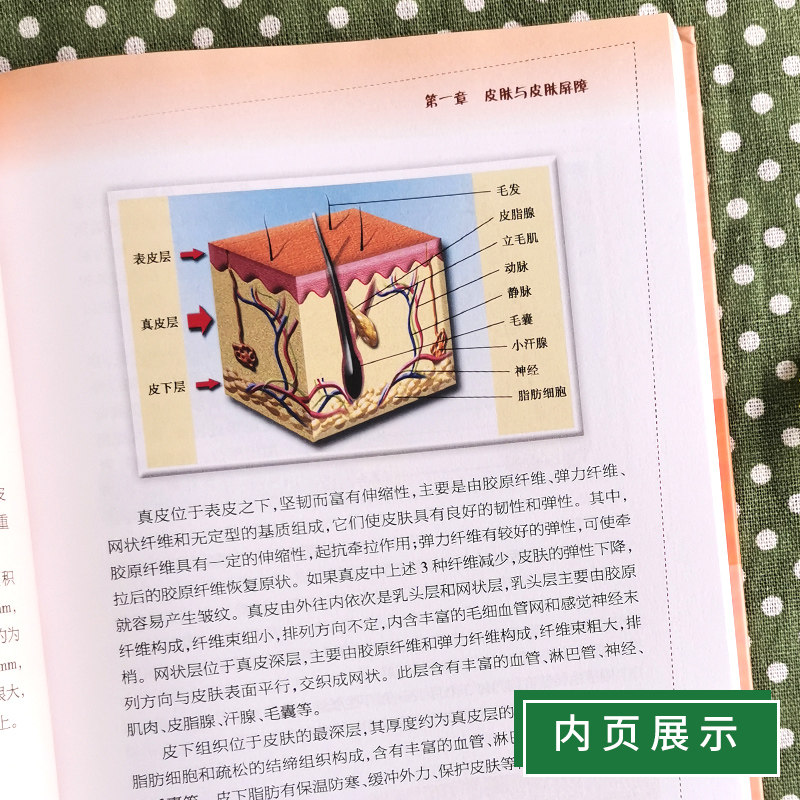 现货 护肤与皮肤屏障 皮肤屏障的作用以及护肤要点 缺陷性疾病的诊疗 提高皮肤外用药疗效 杨森著 人民卫生出版社 医学科普