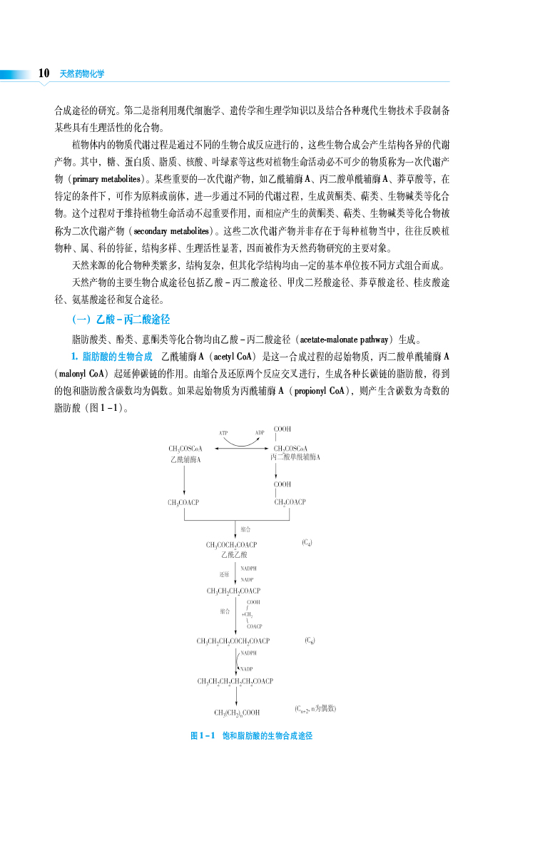 天然药物化学 第3版 全国普通高等中医药院校药学类专业第三轮规划教材 供临床药学 药物制剂等 中国医药科技出版社9787521440102 - 图3