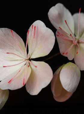 手工非遗缠丝绒花小桃花发夹