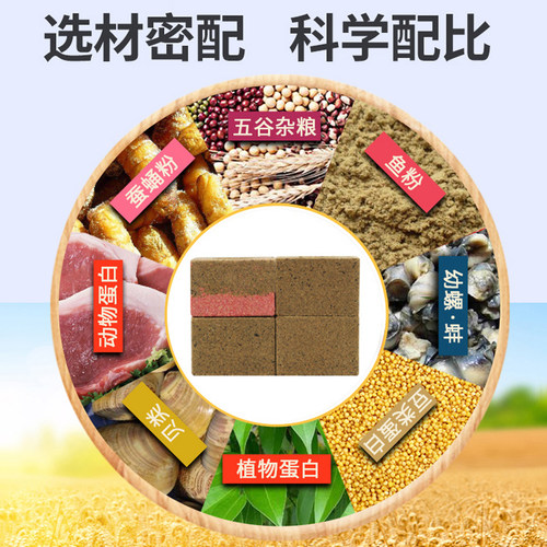白鲨三代鲢鳙方块饵海竿钓鱼饵抛竿翻板钩浮钓反底钓腥臭诱食配方 - 图1