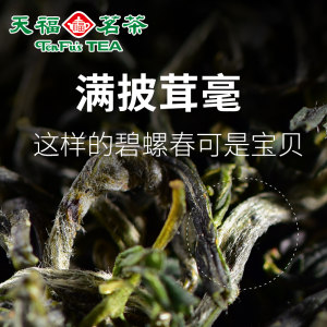 天福茗茶 碧螺春绿茶春茶 明前碧螺春茶叶 100G罐装