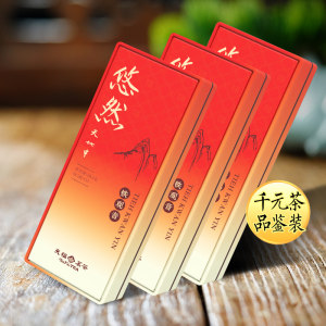 天福茗茶悠然铁观音安溪清香乌龙茶特级精品品鉴装28.5g2023茶叶