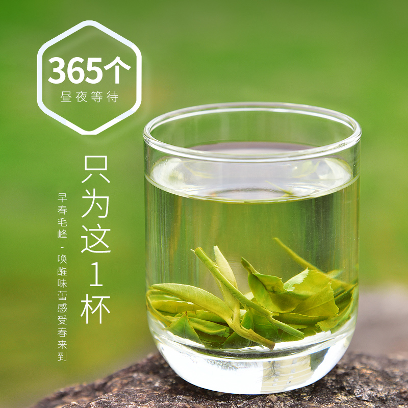 买1发2天福茗茶 毛峰茶叶 2024春茶新茶 绿茶实惠装150g袋装 - 图1