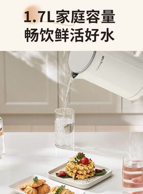 九阳烧水壶电热水壶家用大容量