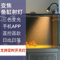 Timing-focusing South American fish tank Spotlight Fabrication Special Three Lakes Thunder Dragon Native Water Grass Waterproof Led Fish Tank Lamp