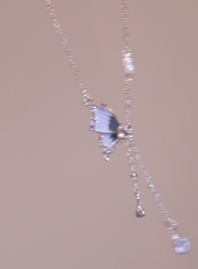 Yishaot.女生礼物小众轻奢颈链