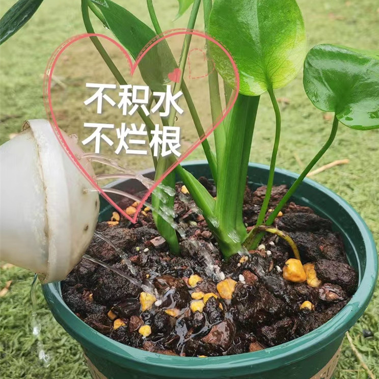 天南星科专用土龙鳞春羽龟背竹海芋秋海棠蔓绿绒花烛营养土种植土-图3