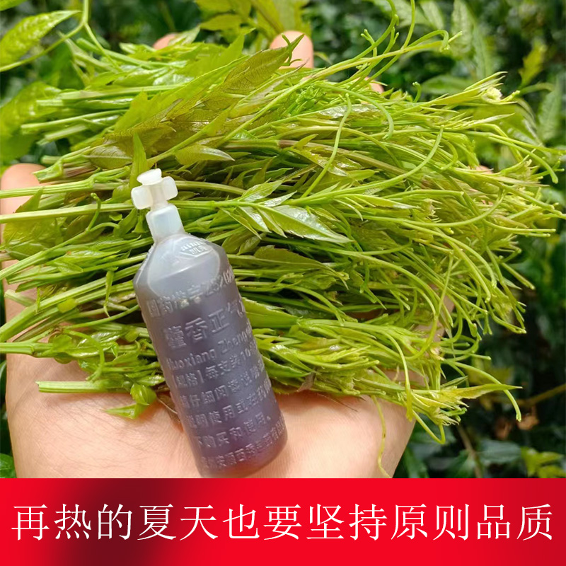 莓茶张家界野生特级正品霉茶茅岩莓永顺龙须芽尖恩施富硒土家藤茶