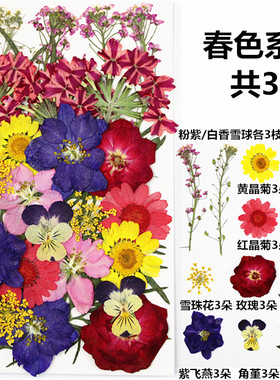 干花组合滴胶装饰永生花新娘妆花