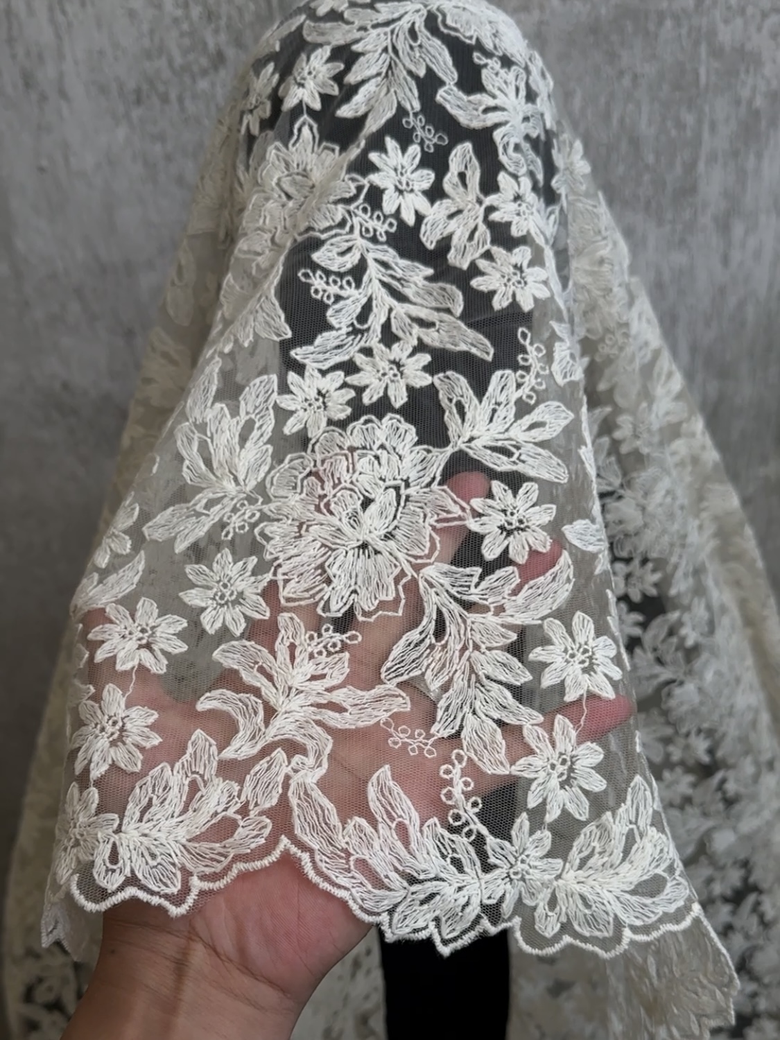 米色刺绣柔软绣花布料桌布蕾丝服装婚纱连衣裙子Diy面料婚纱辅料 - 图0