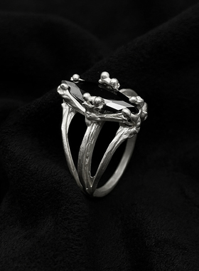 银戒指Kammerhopa锆石小众设计师