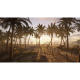 UE5.1+ unreal scene realistic seaside beach sunbathing beach sand parasol sea water island scene