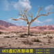 UE5 Unreal Realistic Western Dry Yellow Stone Rock Wall Desert Gobi Cliff Desert Rock Scene Environment