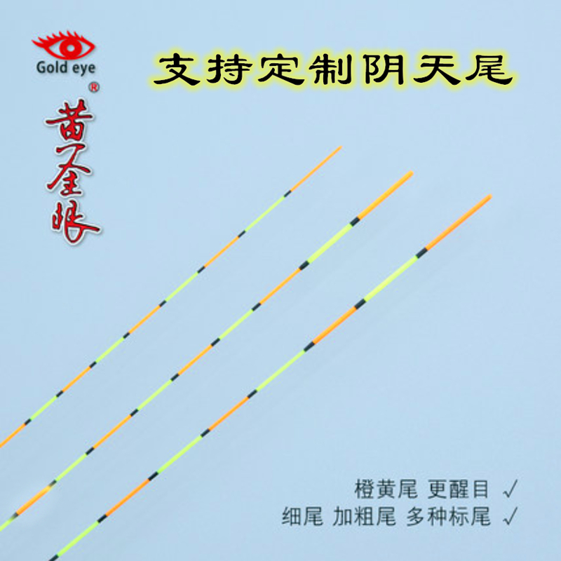 黄金眼池海浮漂纳米彩金版加粗尾黑坑竞技鱼漂超亮艳彩醒目阴天尾 - 图0