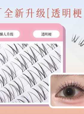 添尤美· 8037小韩热销款清透自然柔软舒适假睫毛