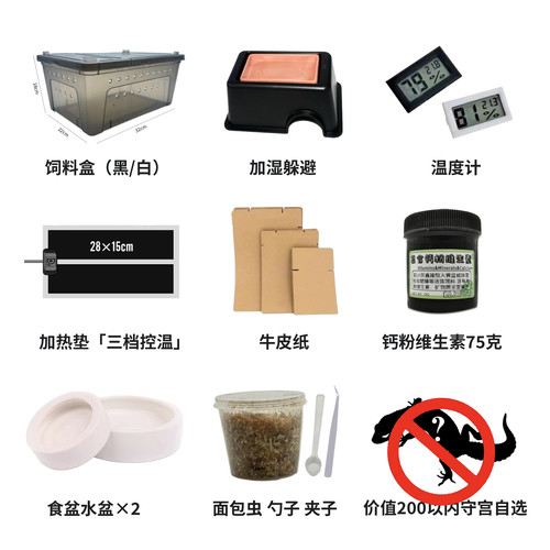 豹纹守宫新手饲养套餐 - 图0