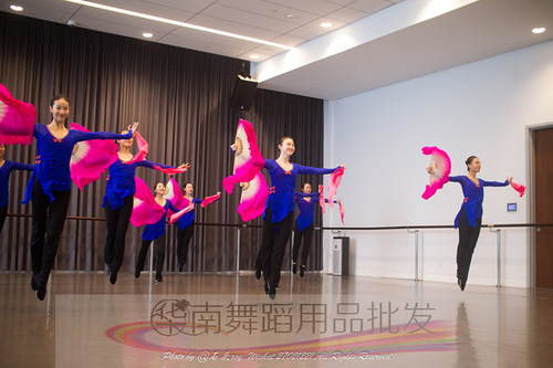 大秧歌服装古典舞练功服身韵纱衣成人民族抬龙王扇子演出舞蹈服 - 图0