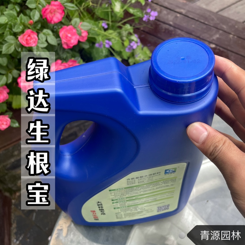 大树强力生根液 移栽成活液 生根液 果树幼苗花卉扦插快速发根剂 - 图0