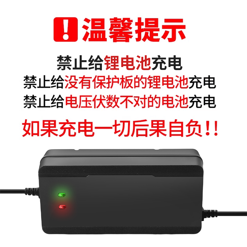适用于爱玛电动车充电器电瓶车48V60V72V20AH铅酸锂电池充电适配 - 图3